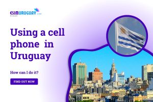 Using a cell phone in Uruguay feature picture